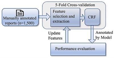 Investigation of the Utility of Features in a Clinical De-identification Model: A Demonstration Using EHR Pathology Reports for Advanced NSCLC Patients